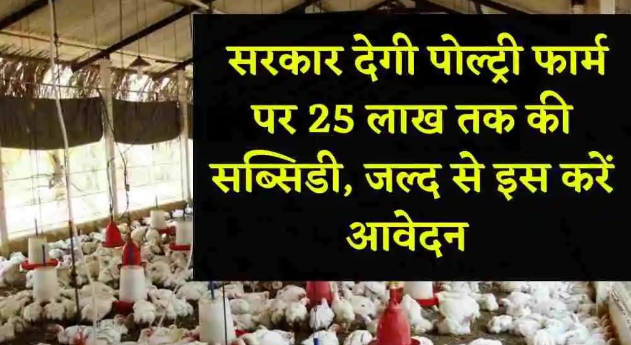 Poultry Farming 2023 सरकार दे रही पोल्ट्री फार्मिंग के लिए 25 लाख तक की सब्सिडी इस तरह से करे आवेदन 