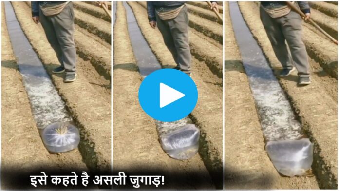खेतो की मेड़ में पानी भरने का किसान ने लगाया चौकस जुगाड़, वीडियो देख बोलोगे-इसे कहते है असली जुगाड़!