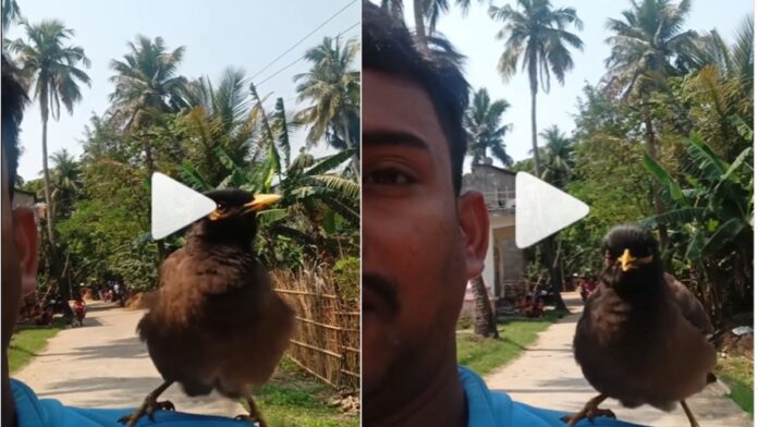 Viral Video: इंसानो की तरह बोलता है यह विचित्र पक्षी, वीडियो देख आप भी रह जाओगे हैरान